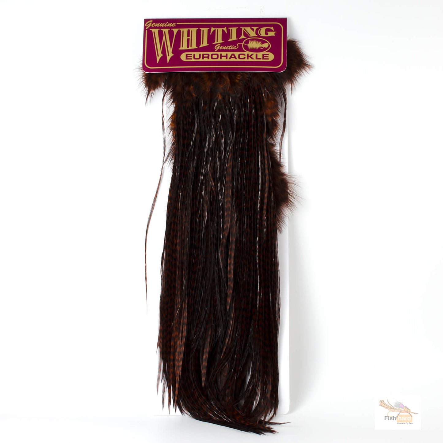 Whiting Euro Saddle