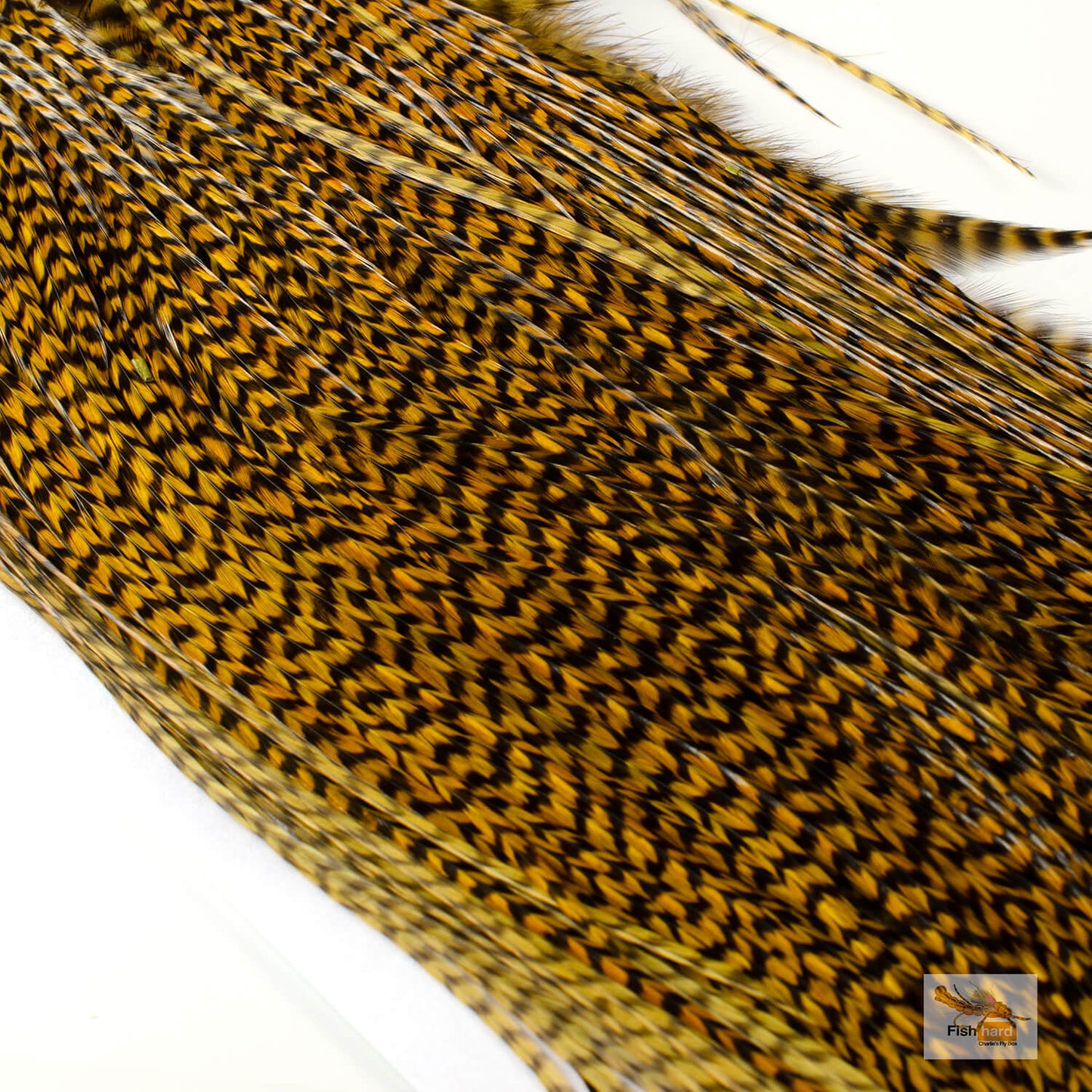 Whiting Euro Saddle