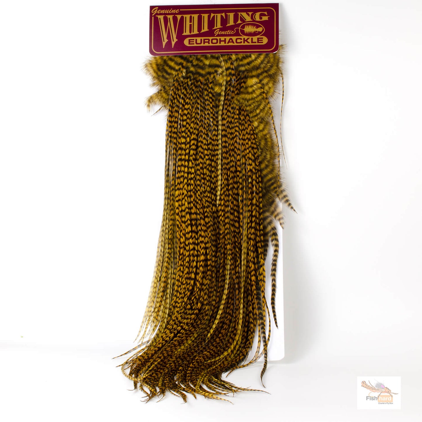 Whiting Euro Saddle