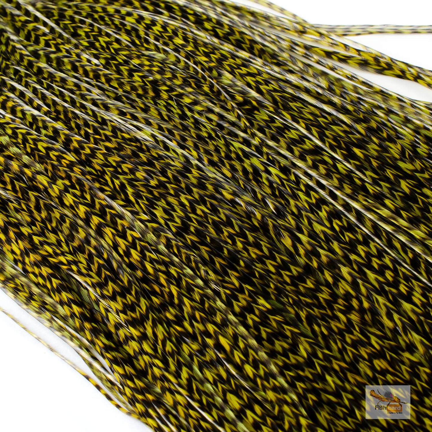 Whiting Euro Saddle
