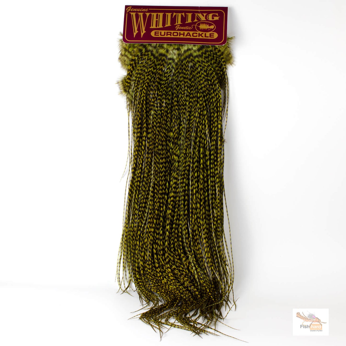 Whiting Euro Saddle