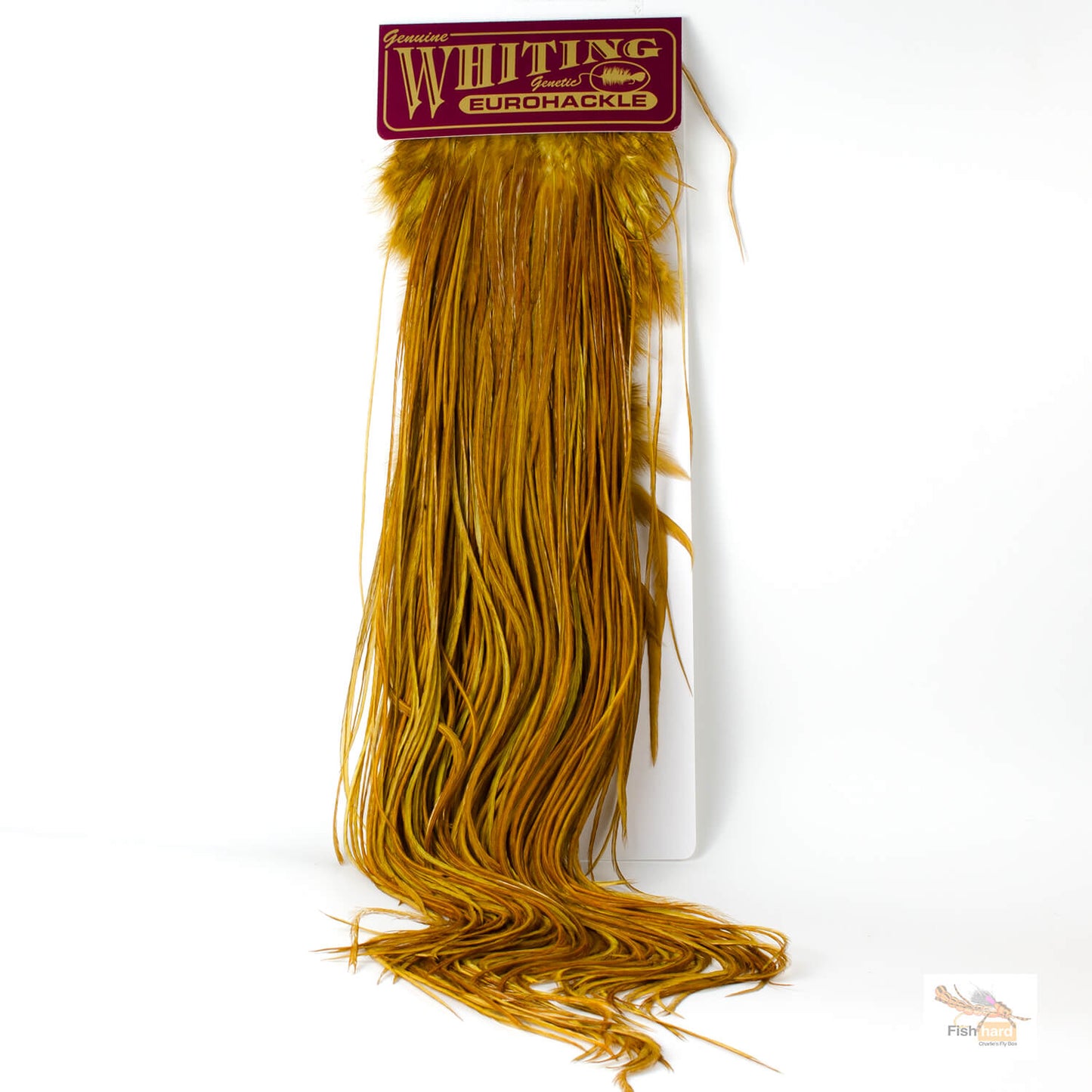 Whiting Euro Saddle
