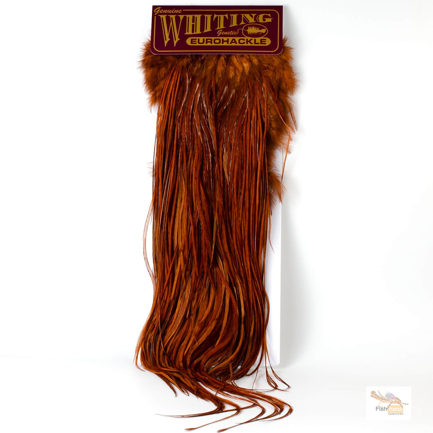 Whiting Euro Saddle