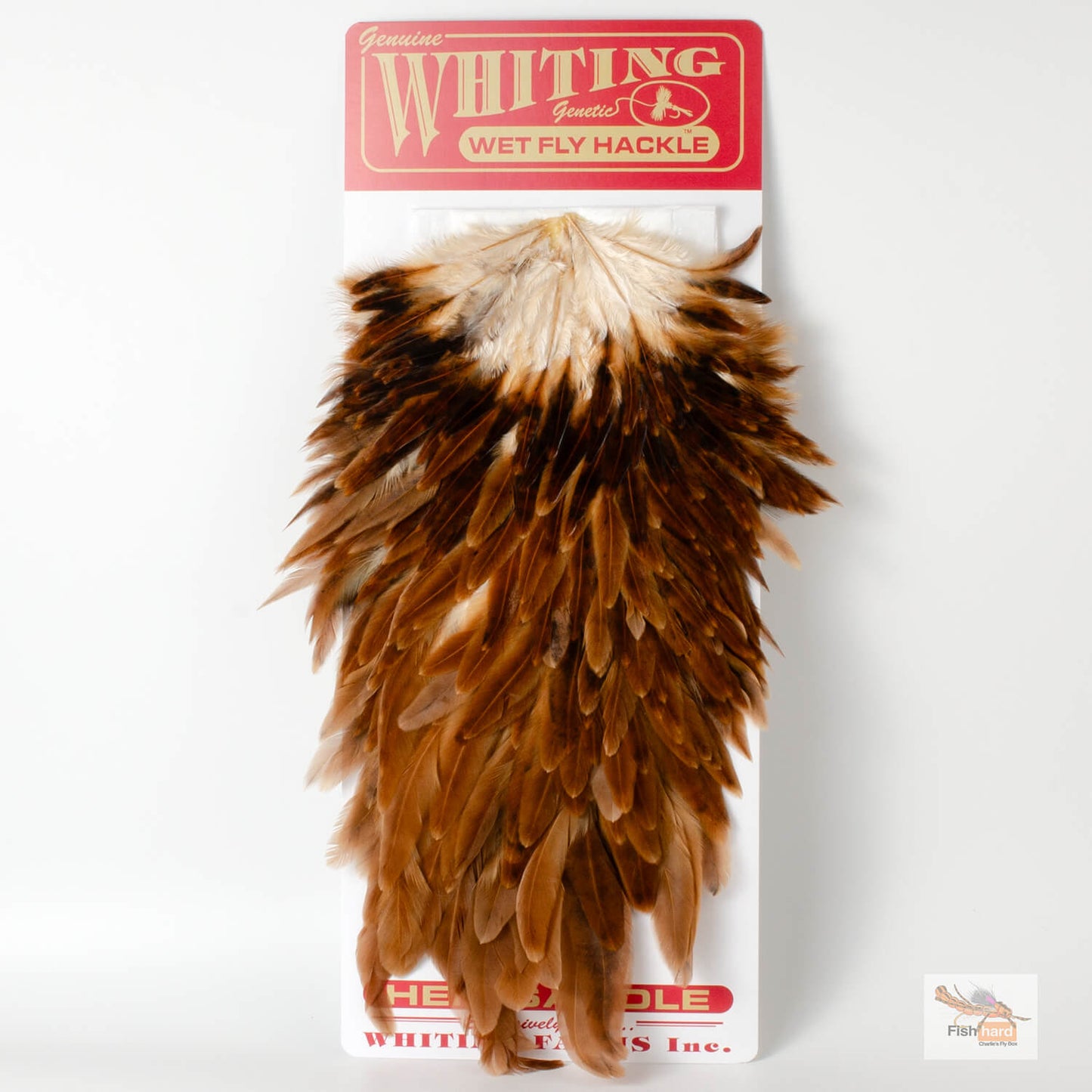 WhitingHenSaddle_Brown