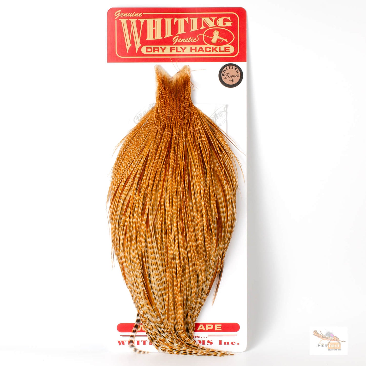 Whiting Bronze Grade Cape, Barred Dark Ginger