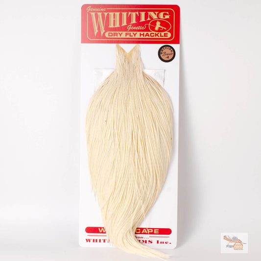Whiting Bronze Grade Cape, White