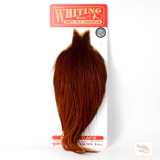 Whiting Silver Grade Rooster Cape, Brown