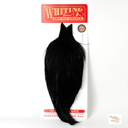 Whiting Bronze Grade Cape, Black
