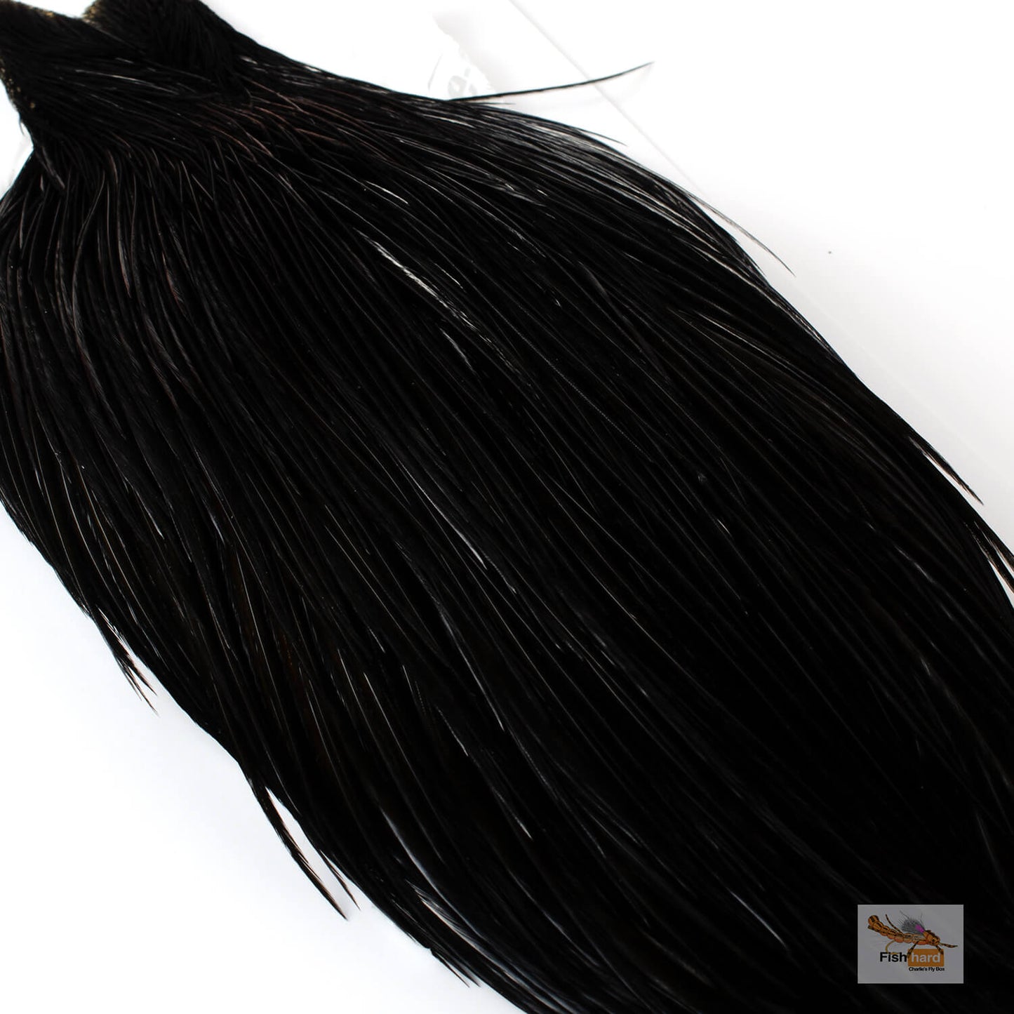 Whiting Bronze Grade Cape, Black