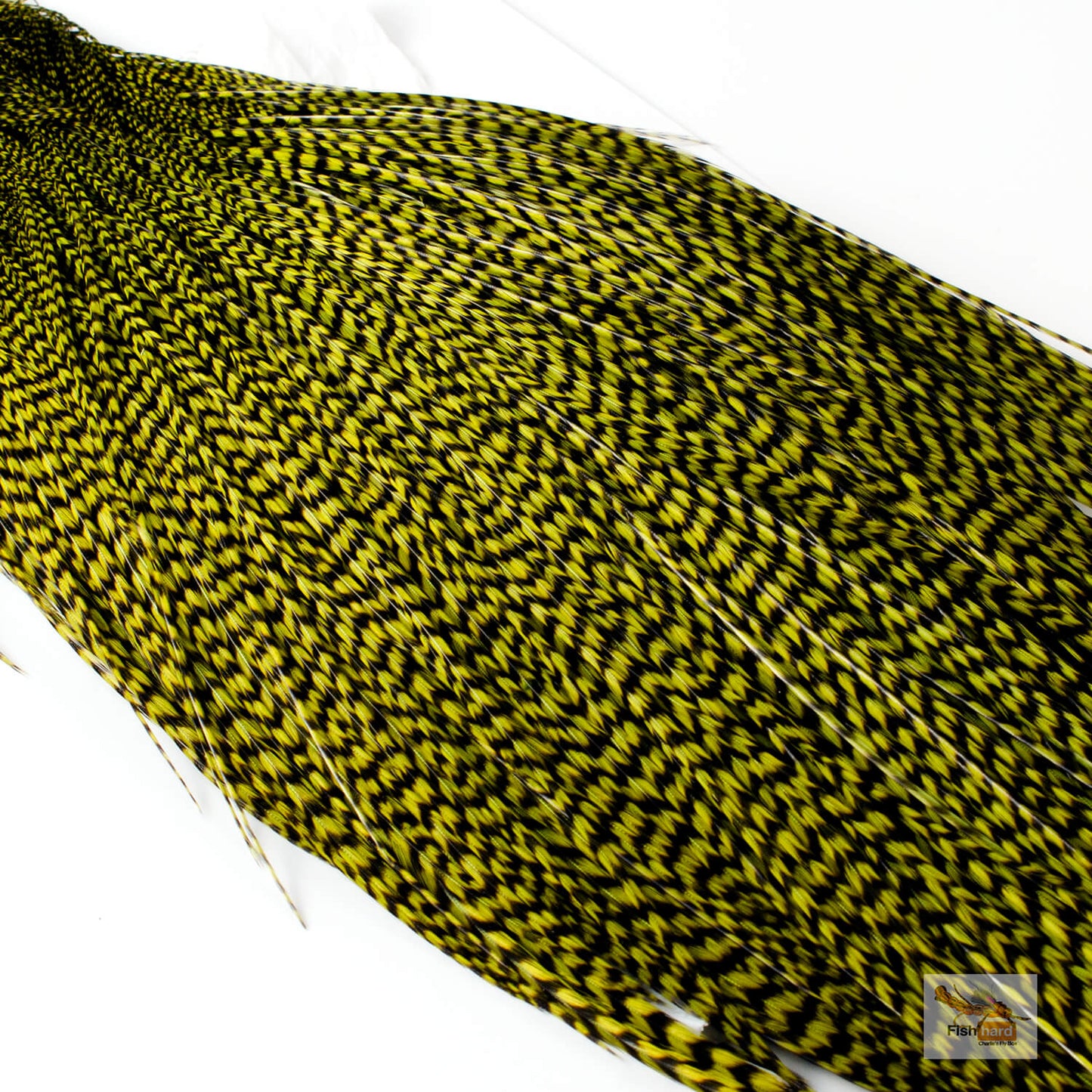 Whiting Bronze Grade Cape, Grizzly Dyed Olive