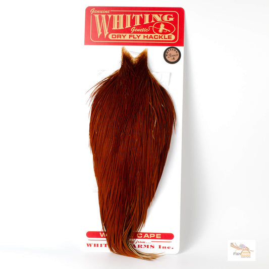 Whiting Bronze Grade Rooster Cape, Brown