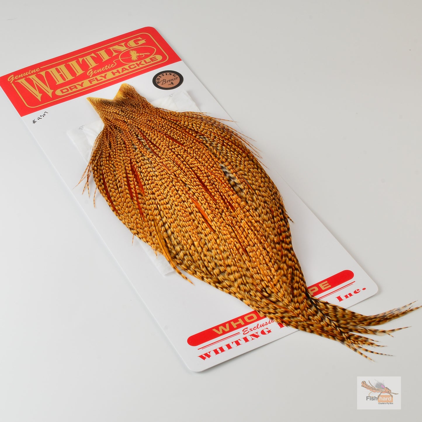 Whiting Bronze Grade Cape, Cree