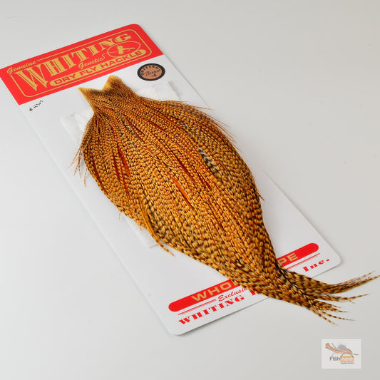Whiting Bronze Grade Cape, Cree