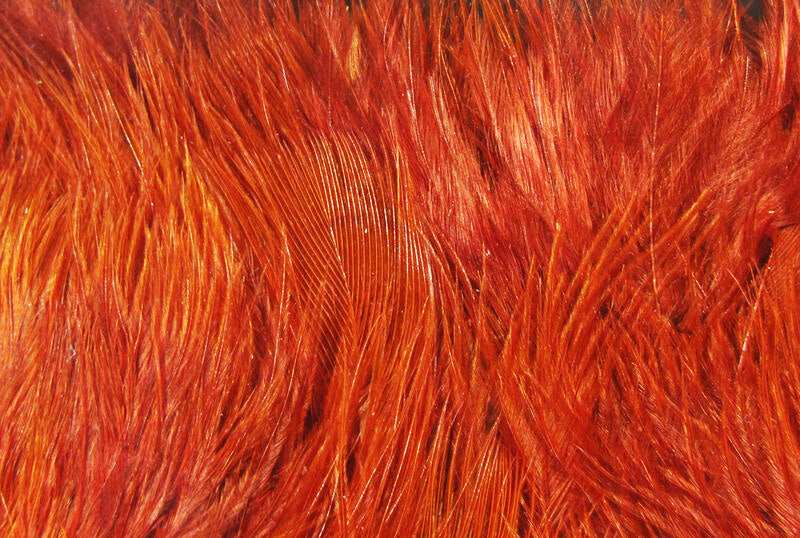 Wooly Bugger Marabou