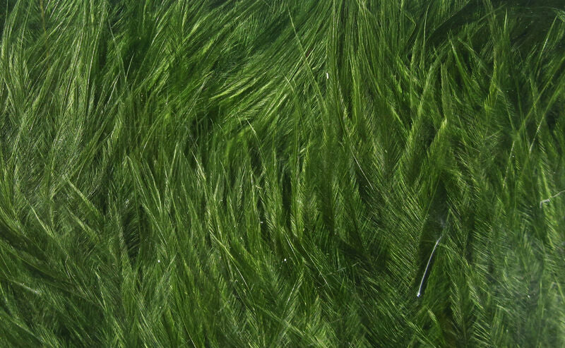 Wooly Bugger Marabou