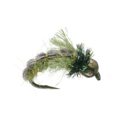 Z-Wing Caddis Pupa, Tungsten