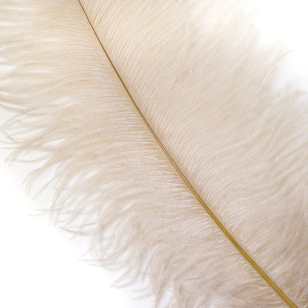 Marabou Brothers Ostrich Plumes