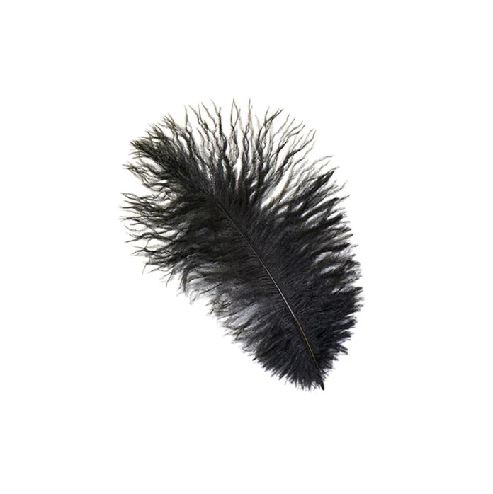 Marabou Brothers Ostrich Plumes