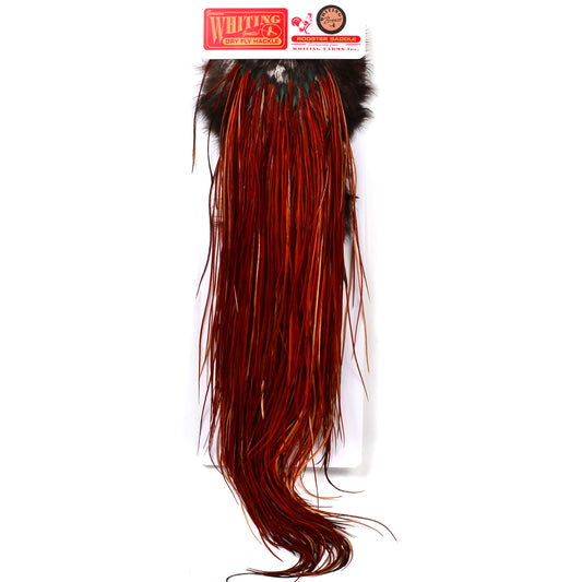 Whiting Bronze Grade Rooster Saddle, Brown