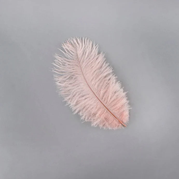 Marabou Brothers Ostrich Plumes