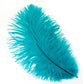 Marabou Brothers Ostrich Plumes