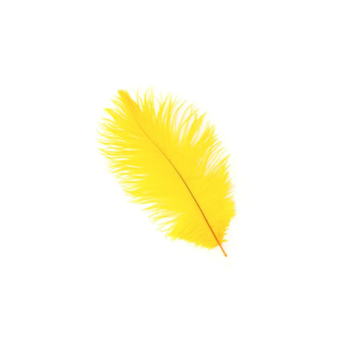 Marabou Brothers Ostrich Plumes