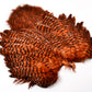 Whiting Rooster Soft Hackle with Chickabou