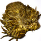 Whiting Rooster Soft Hackle with Chickabou