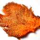 Whiting Rooster Soft Hackle with Chickabou