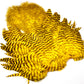 Whiting Rooster Soft Hackle with Chickabou