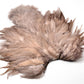 Whiting Rooster Soft Hackle with Chickabou