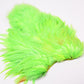 Whiting Rooster Soft Hackle with Chickabou
