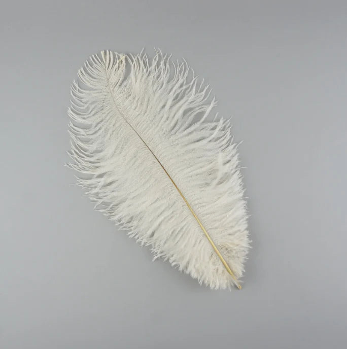 Marabou Brothers Ostrich Plumes