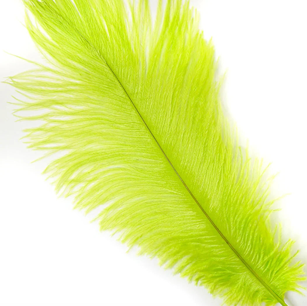 Marabou Brothers Ostrich Plumes