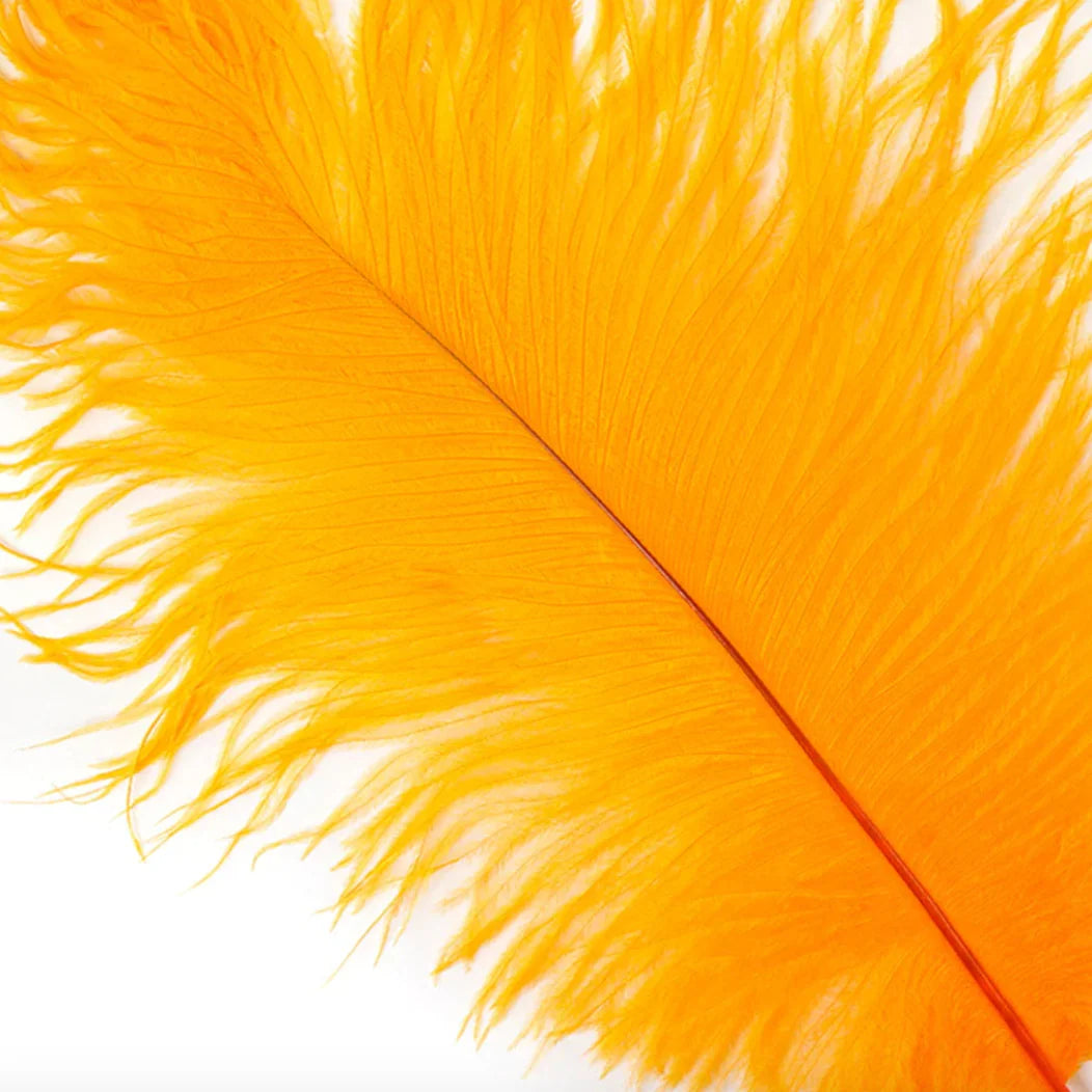 Marabou Brothers Ostrich Plumes