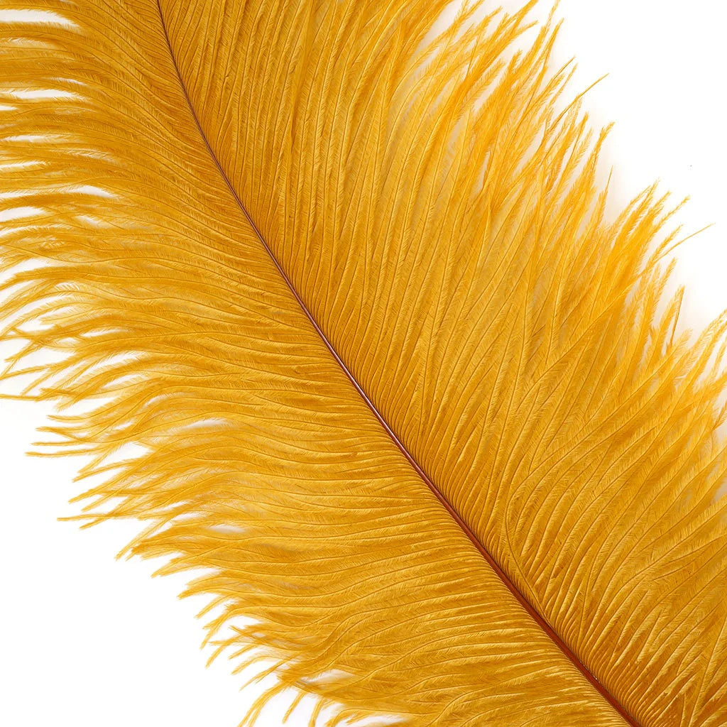 Marabou Brothers Ostrich Plumes