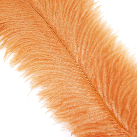 Marabou Brothers Ostrich Plumes