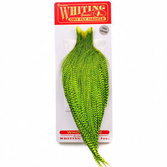 Whiting Pro Grade Capes