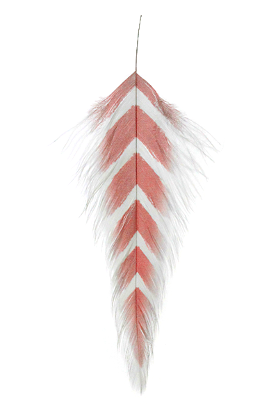 Galloup's Fish Feathers