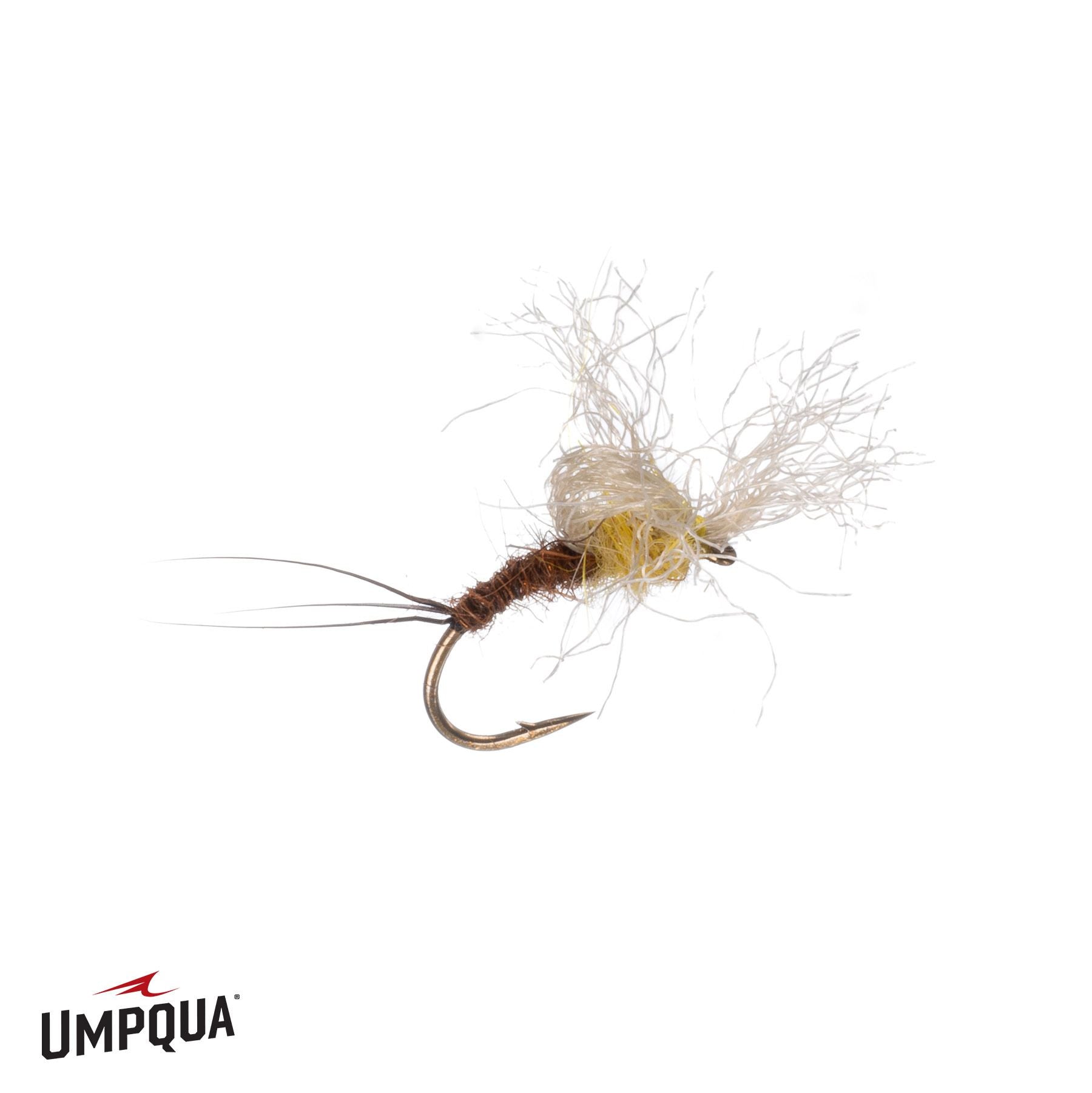 Timmy Emerger, Craven's - Main Image