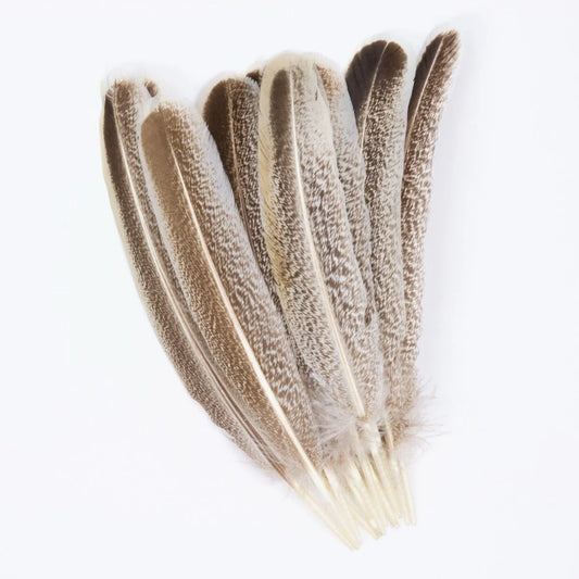 Marabou Brothers Select Cinnamon Turkey Quills, Natural