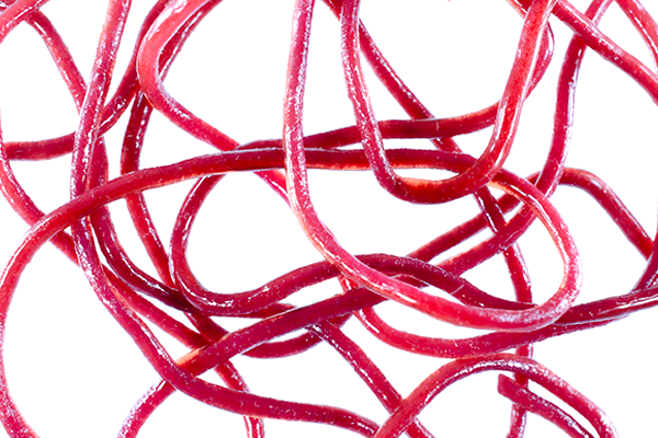 Trina's Squirm Material