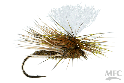 swishers dancing caddis