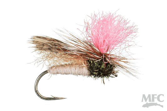 Finfetcher Caddis