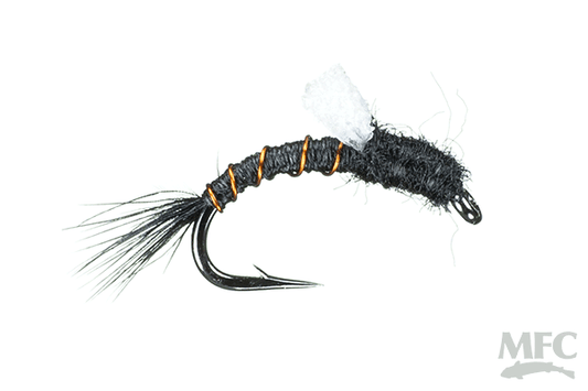 Midnight Thunder