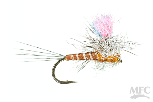 Guide Winna Spinna, Rusty