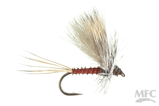 Jake's Hatchback Mahogany