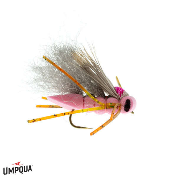 Boy Wonder Hopper, Craven's – charliesflybox