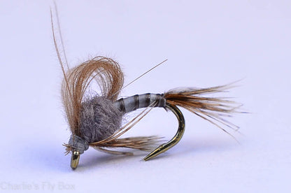 CDC Loop Wing Emerger