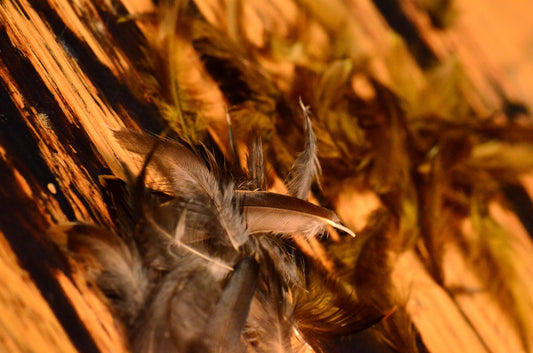 Nature's Spirit Starling-loose